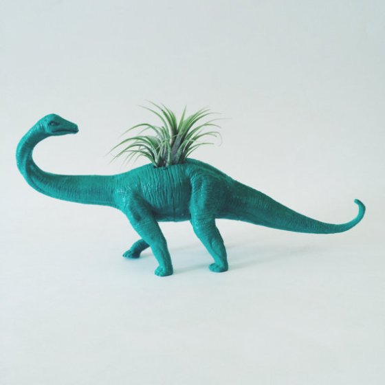 dino plant