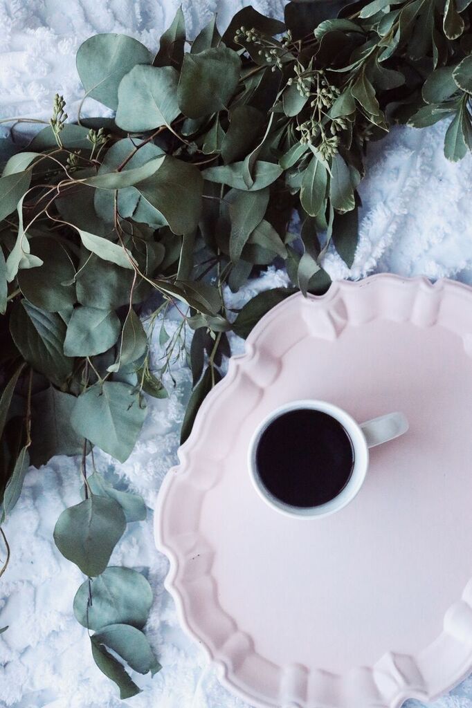 monday morning encouragement: it’s revival&nbsp;time