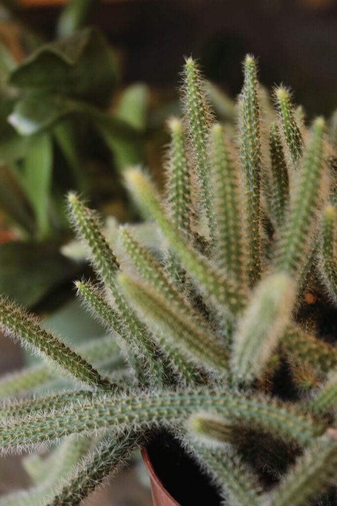 Photo Nov 03, 1 25 51 PM_preview.jpeg