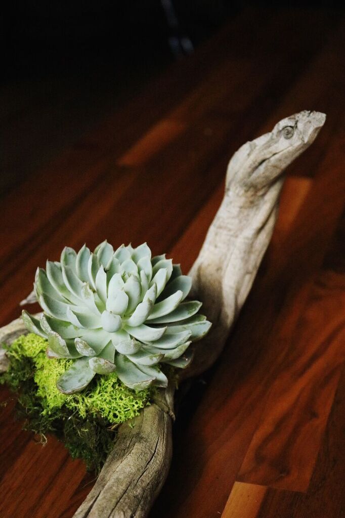 Photo Nov 15, 11 00 35 AM_preview.jpeg