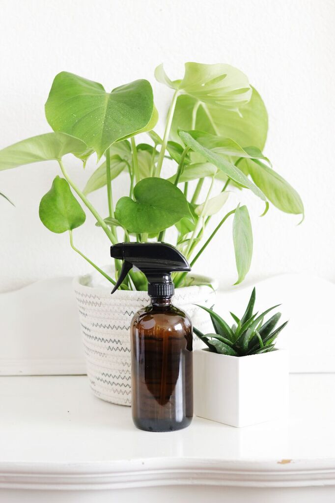 Photo Apr 12, 1 58 52 PM_preview.jpeg