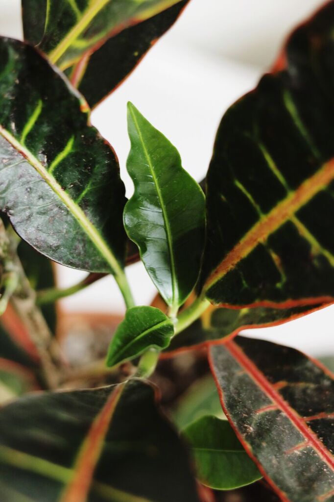 Photo Apr 12, 2 01 20 PM_preview.jpeg