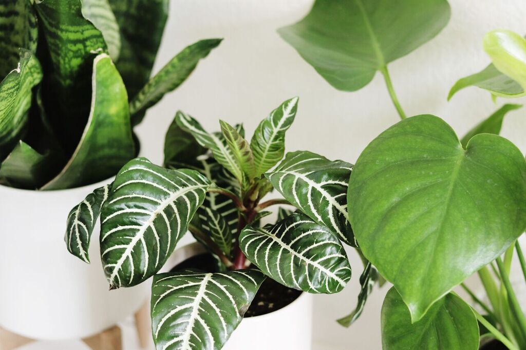 Photo Apr 12, 2 01 21 PM_preview.jpeg