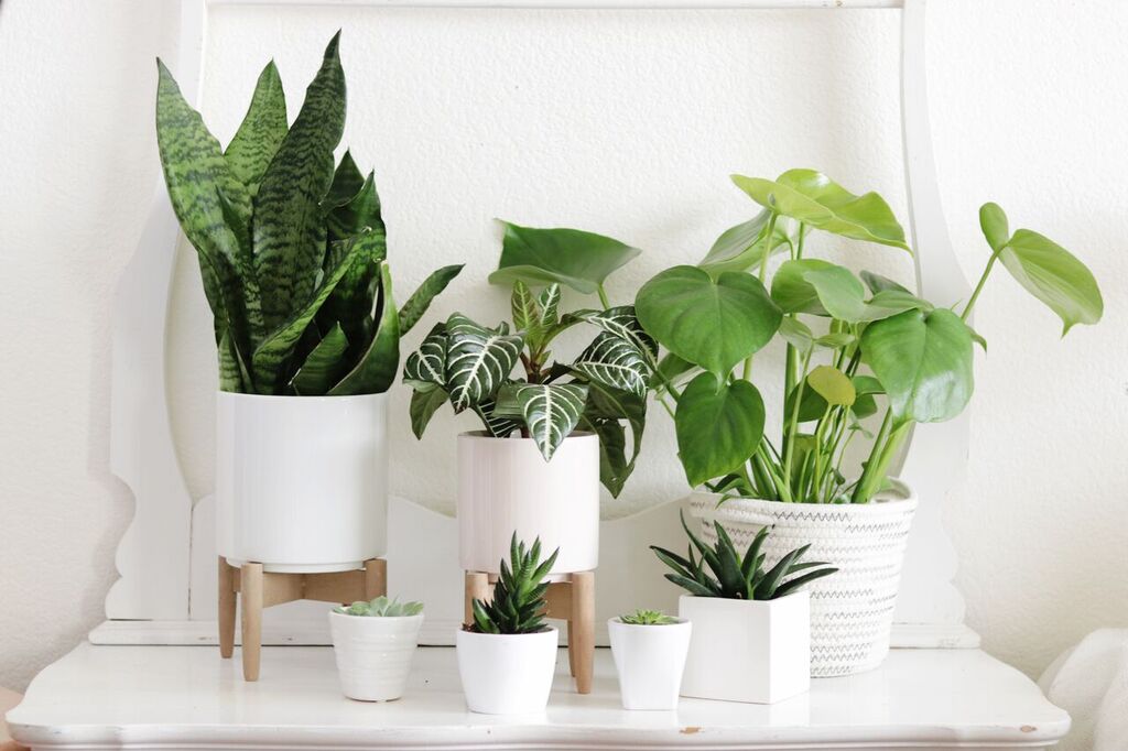 Photo Apr 12, 2 03 34 PM_preview.jpeg