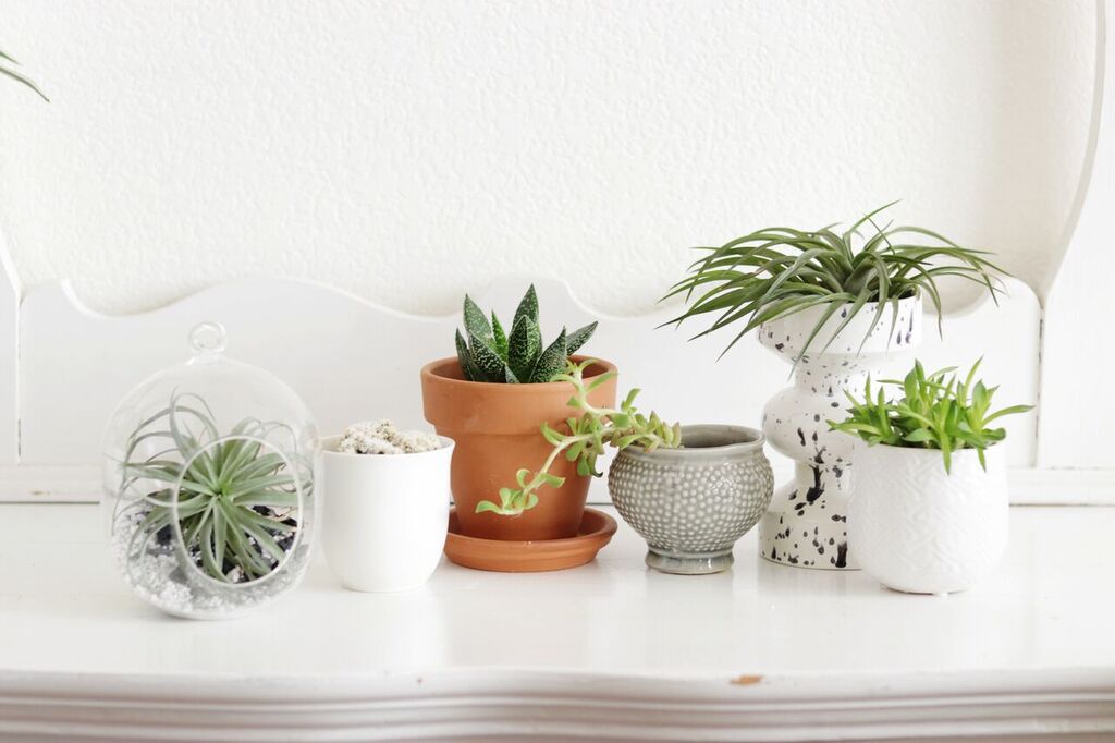 Photo Apr 12, 2 03 36 PM_preview.jpeg