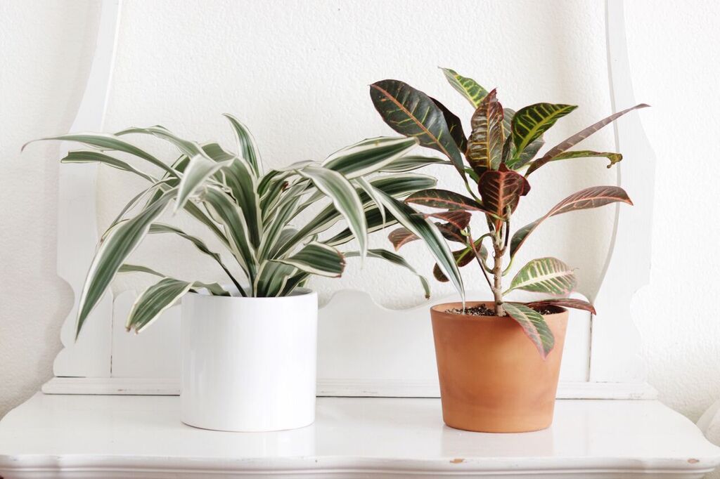 Photo Apr 12, 2 05 39 PM_preview.jpeg