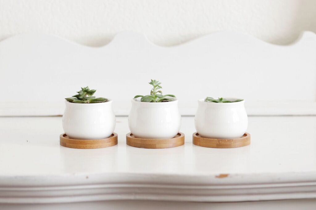 Photo Apr 12, 2 06 04 PM_preview.jpeg