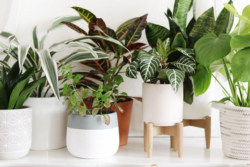 Photo Apr 12, 2 06 24 PM_preview