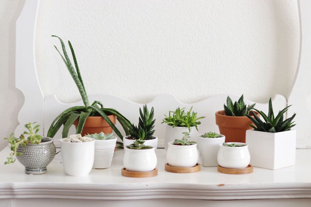 Photo Apr 12, 2 07 02 PM_preview.jpeg