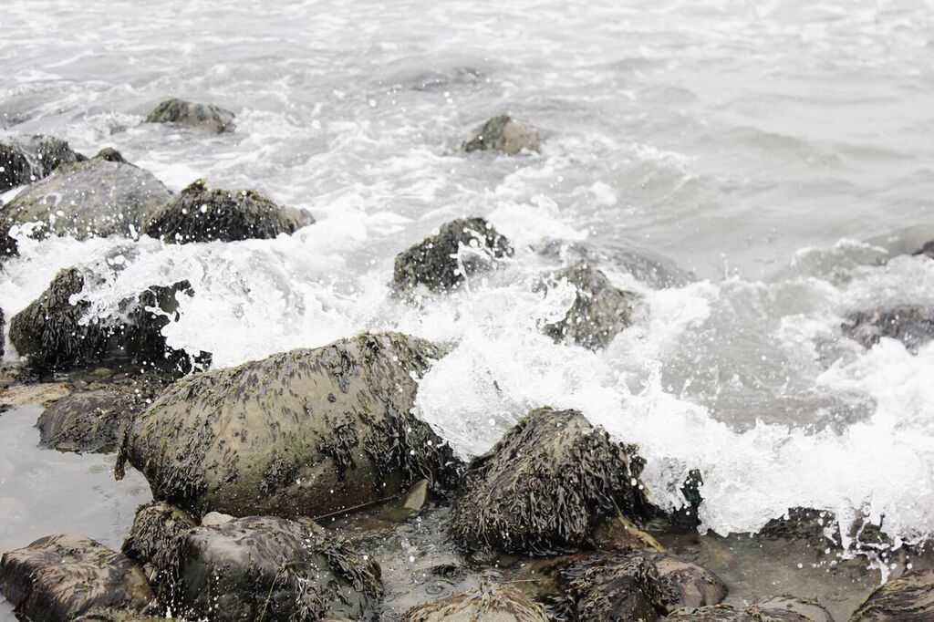 Photo May 15, 4 33 14 PM_preview.jpeg