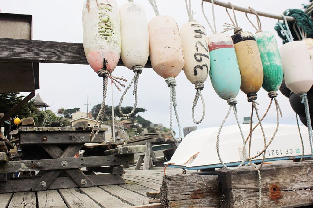 Photo May 15, 4 33 16 PM_preview.jpeg