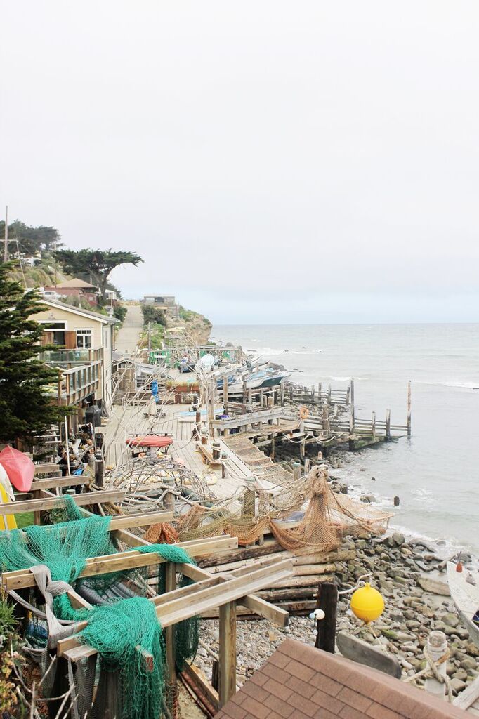 Photo May 15, 4 33 18 PM_preview.jpeg